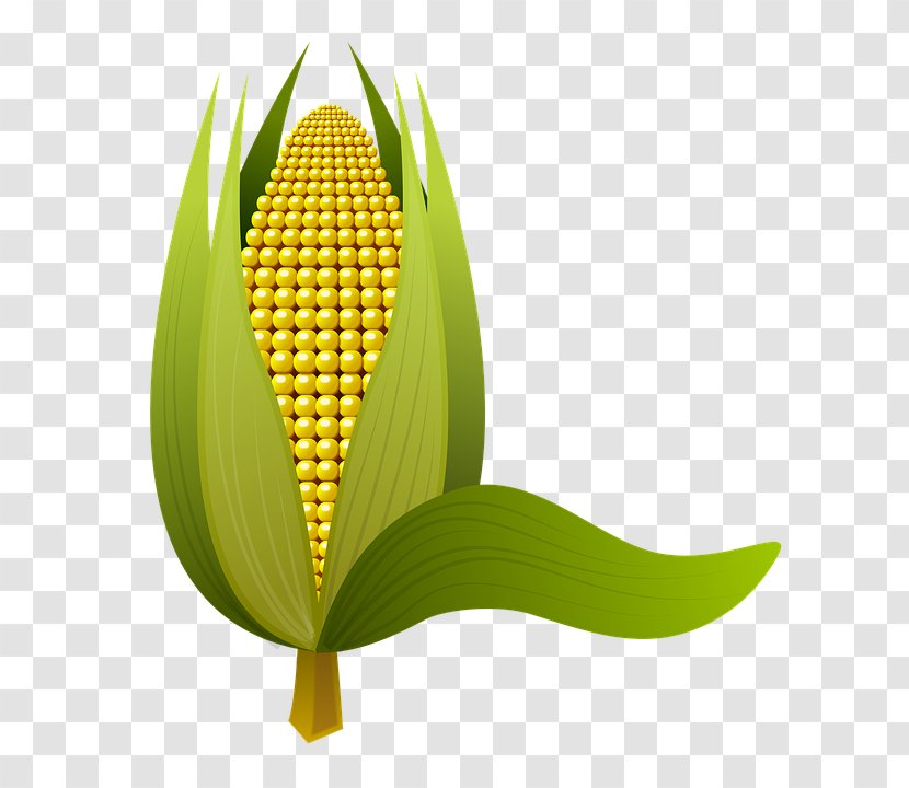 Clip Art Maize Image Adobe Photoshop - Cartoon - кукуруза Transparent PNG