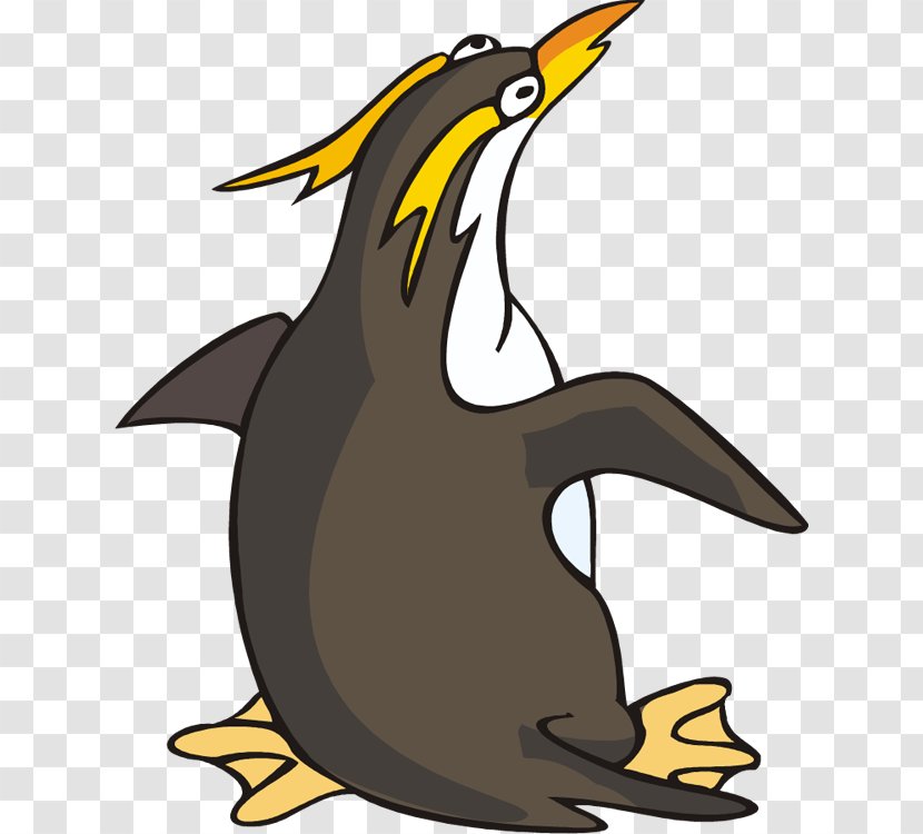 King Penguin Club Southern Rockhopper Clip Art - Wildlife Transparent PNG
