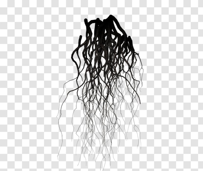 Black And White Root Branch Drawing Tree Transparent PNG