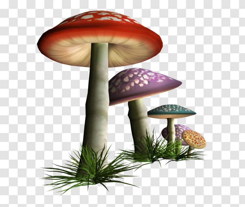Common Mushroom Fungus Clip Art Transparent PNG