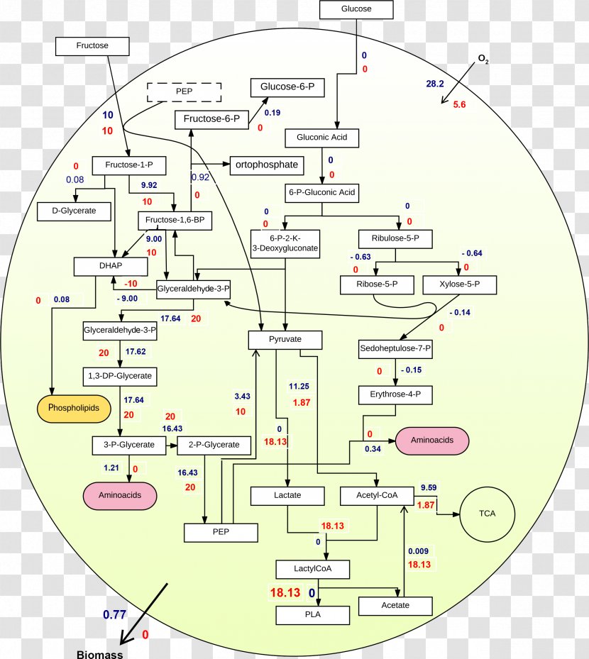 Line Diagram Angle - Area Transparent PNG