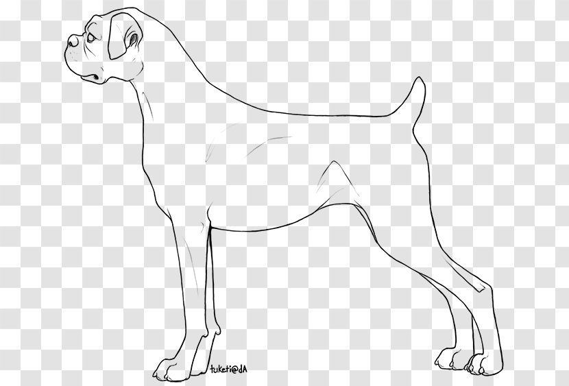 Dog Breed Line Art Boxer Drawing Free Base - Coloring Book Transparent PNG