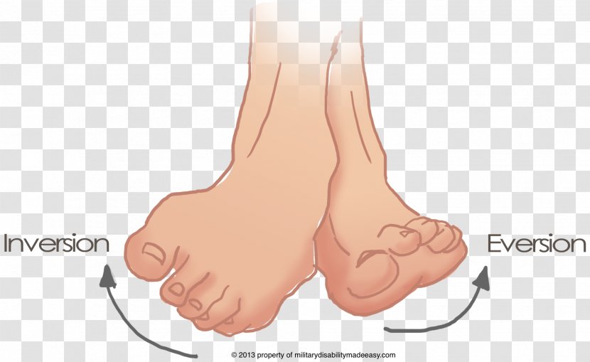 Inversion Foot Eversion Sprained Ankle - Watercolor - Cartoon Transparent PNG