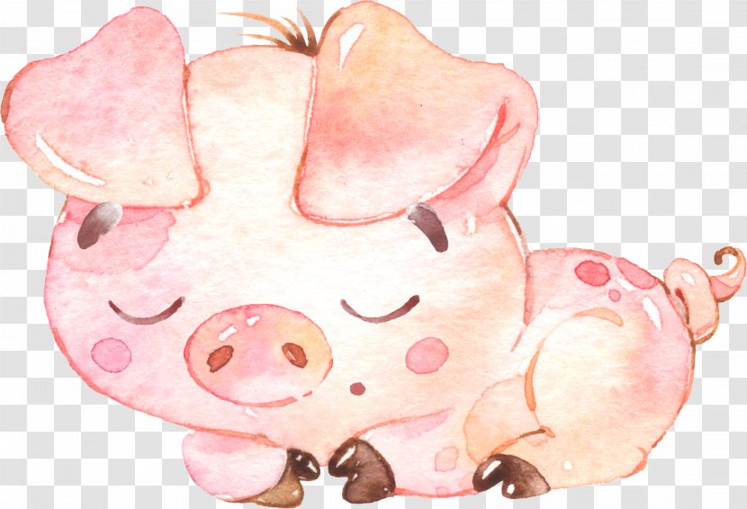 Pig Illustration Drawing Watercolor Painting Image - Domestic Transparent PNG