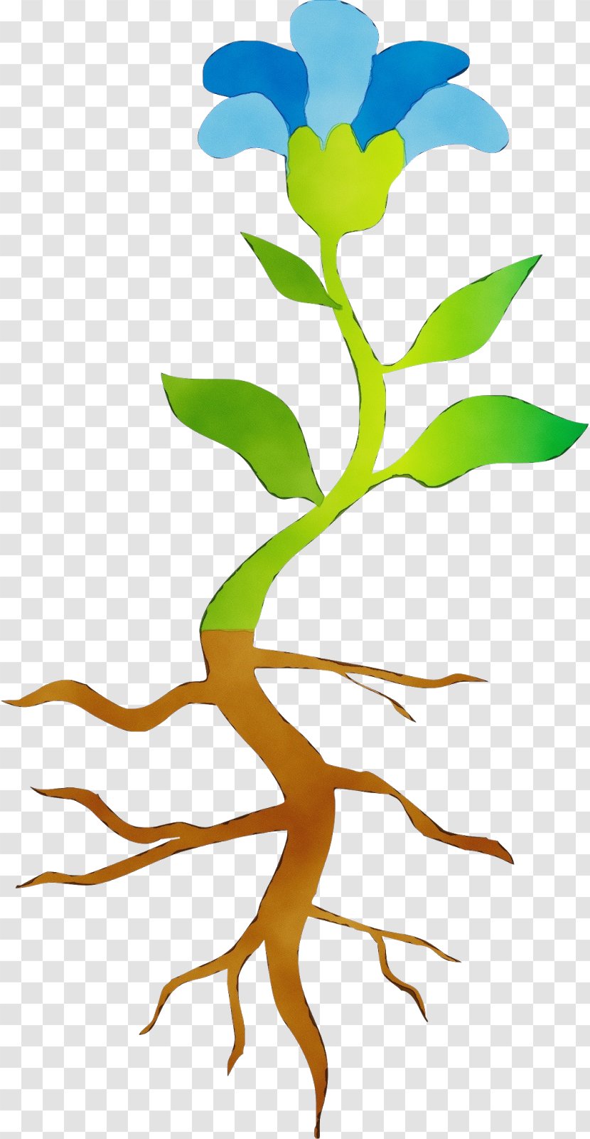 Evolutionary History Of Plants Root Plant Stem Leaf - Pedicel Branch Transparent PNG