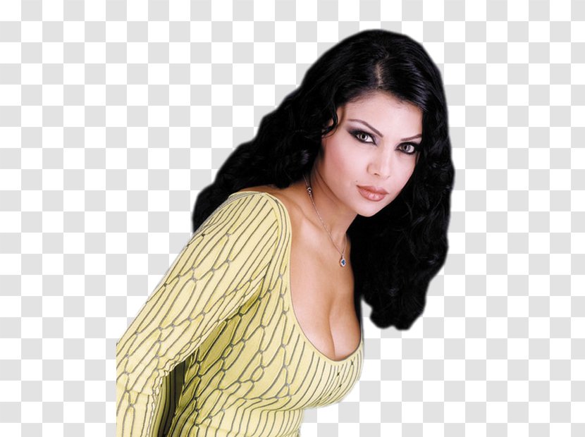 Haifa Wehbe Lebanon Female Actor - Black Hair Transparent PNG