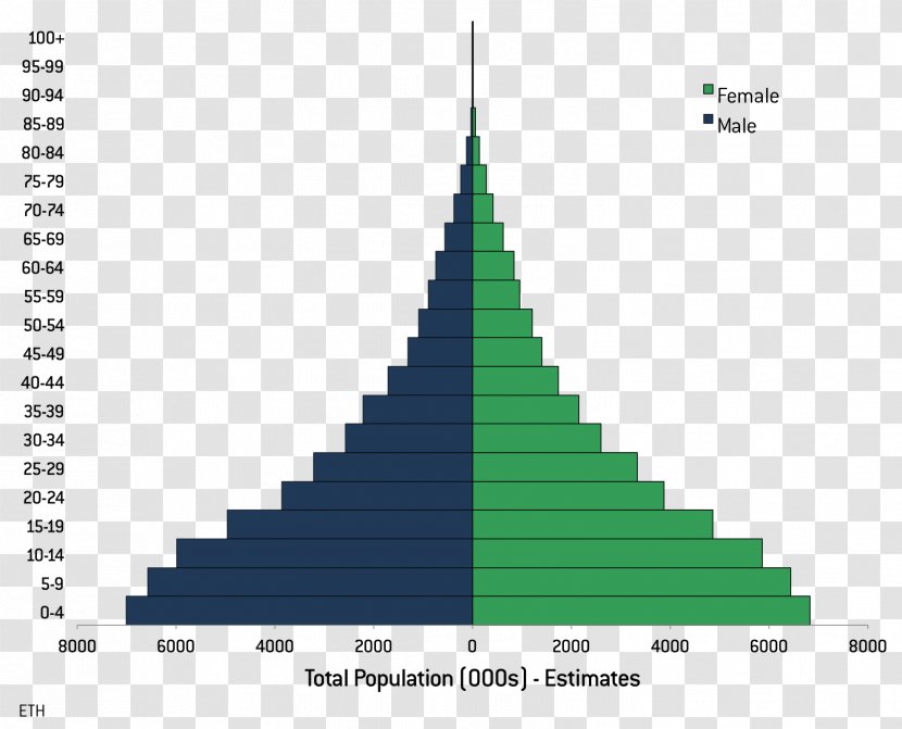 Population Pyramid World Change - Cone Transparent PNG