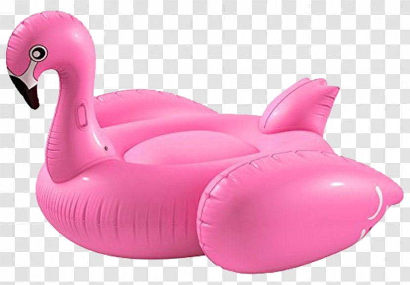 Inflatable Swimming Pools Float Raft Swim Ring - Air Mattresses - Flamingo Pool Transparent PNG