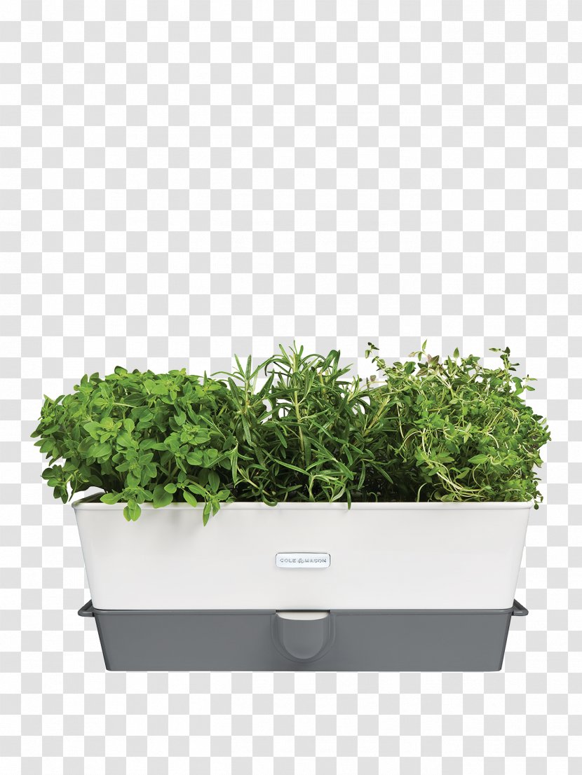 The Potted Herb Cole & Mason Watering Cans Spice - Food Transparent PNG