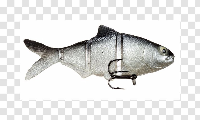 Sardine Castaic Oily Fish Swimbait Milkfish - Seafood Transparent PNG