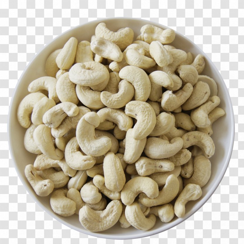 Jodhpur Kollam Nashik Cashew Anvik Enterprise - Wholesale - Physical Map Material Transparent PNG