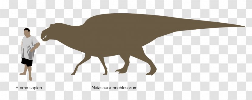 Maiasaura Hadrosaurus Edmontosaurus Regalis Zoo Tycoon 2 - Beak Transparent PNG