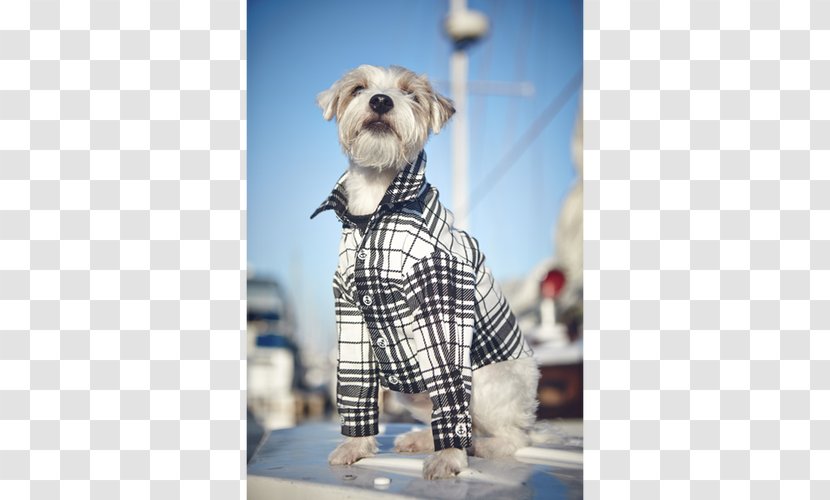 Dog Breed Schnoodle Tartan Snout Outerwear - Plaid Print Transparent PNG