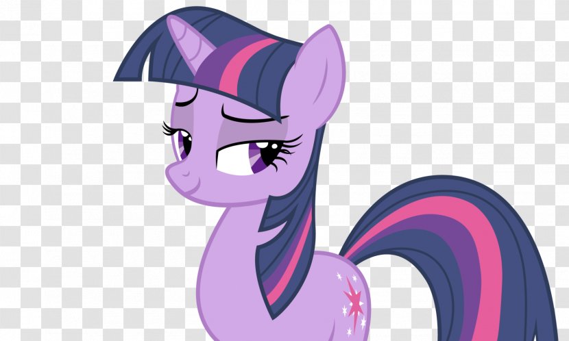 Twilight Sparkle Rarity Pinkie Pie Rainbow Dash Pony - Frame Transparent PNG