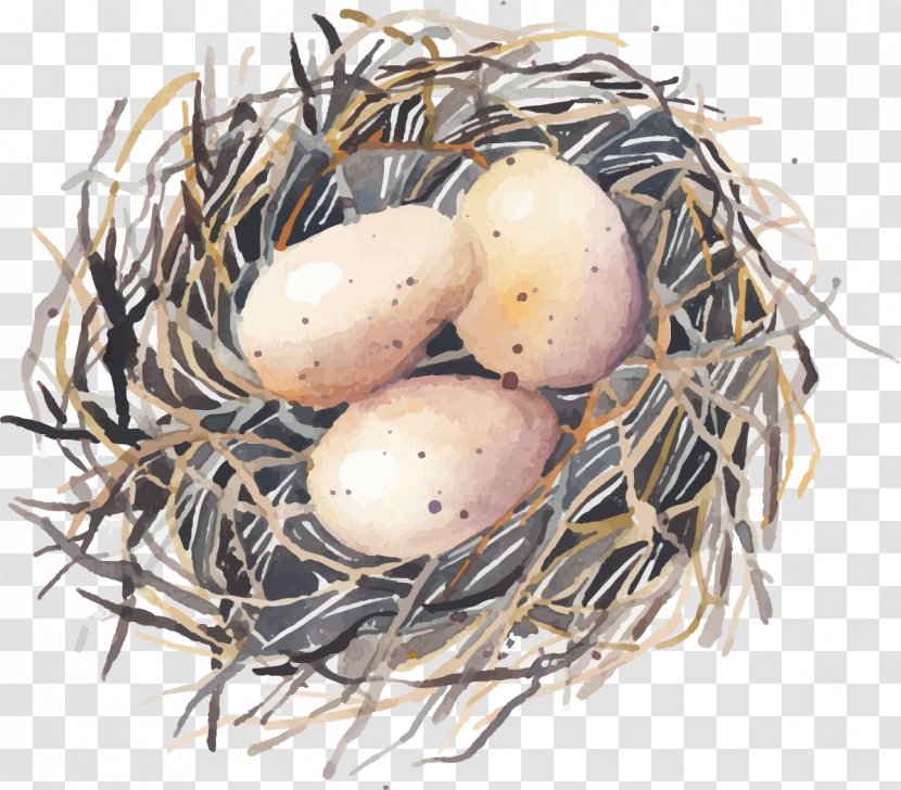 Bird Nest Swallow - Root Vegetable - Hand Painted Eggs Transparent PNG