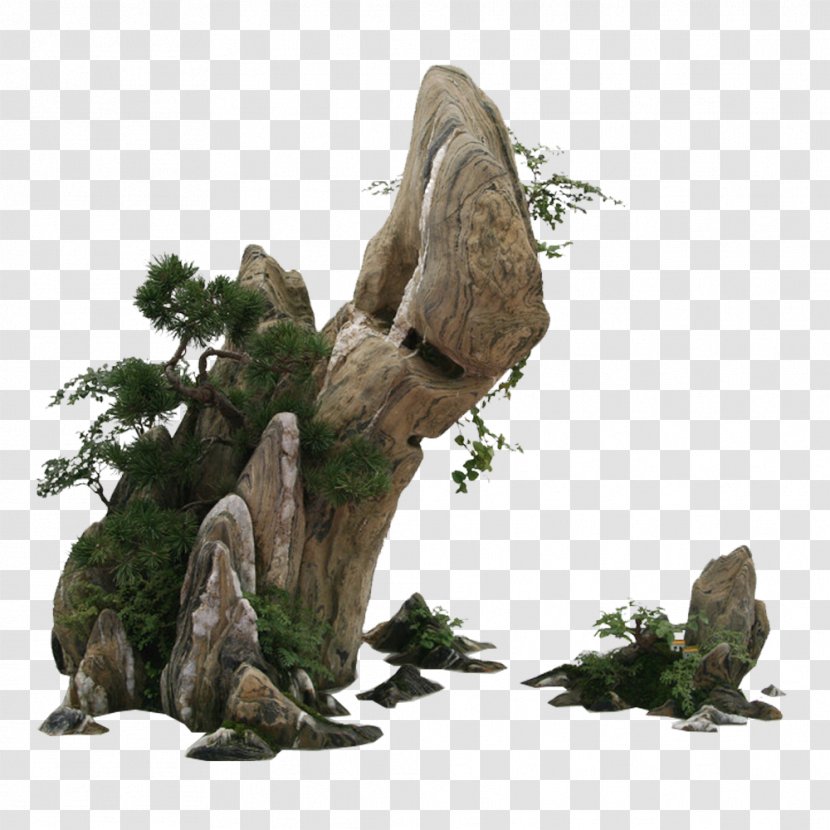 庭石 Stone Rock Garden - Tree Transparent PNG