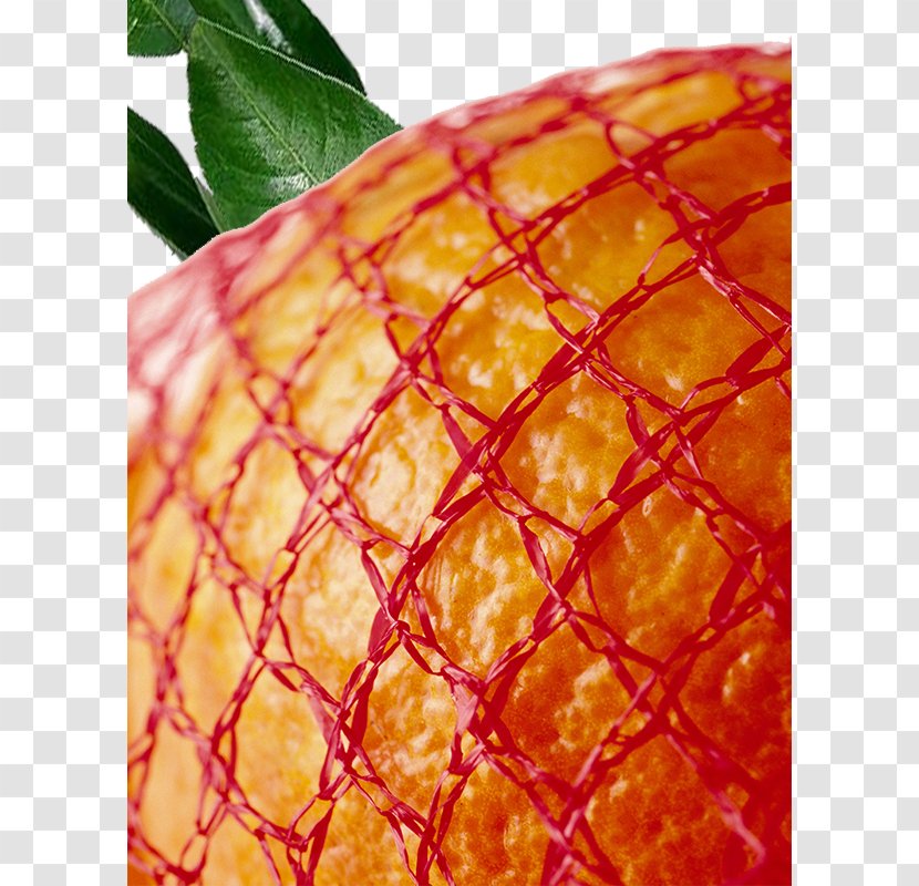 Mandarin Orange Auglis Pomelo - Silhouette - Christmas Fruit Grapefruit Transparent PNG