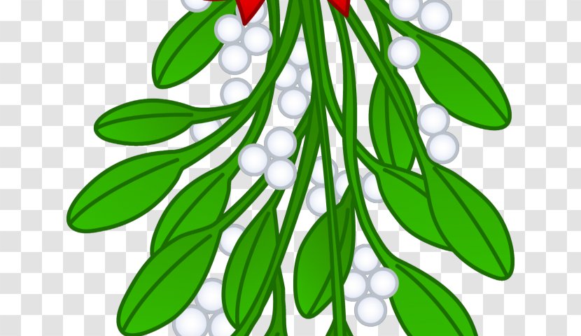 Mistletoe Drawing Clip Art Christmas Day Image - Birdonbranchvector Transparent PNG