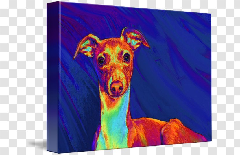 Italian Greyhound Whippet Spanish Sighthound Transparent PNG