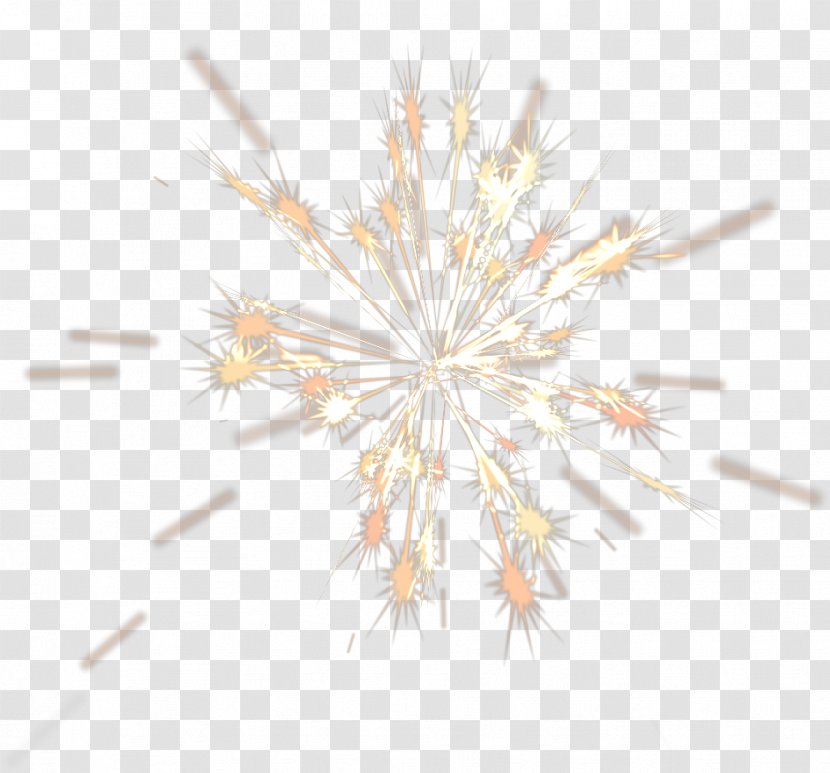 Radio Fireworks Dynamic Light Effect Picture - Tree - Symmetry Transparent PNG