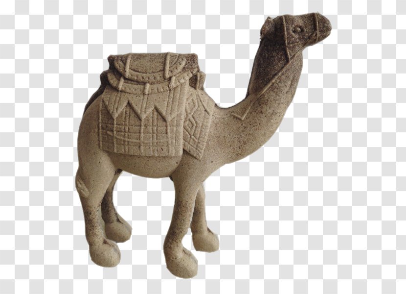 Dromedary Download Computer File - Google Images - Rough Camel Transparent PNG