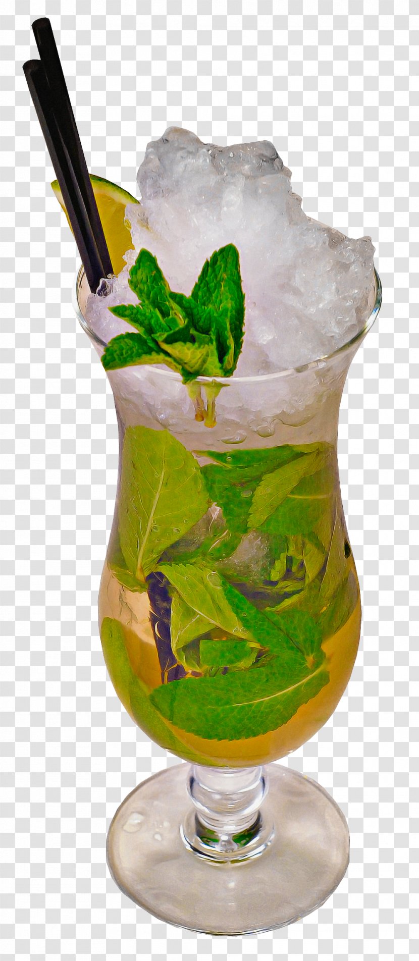 Mojito - Liqueur Limonana Transparent PNG