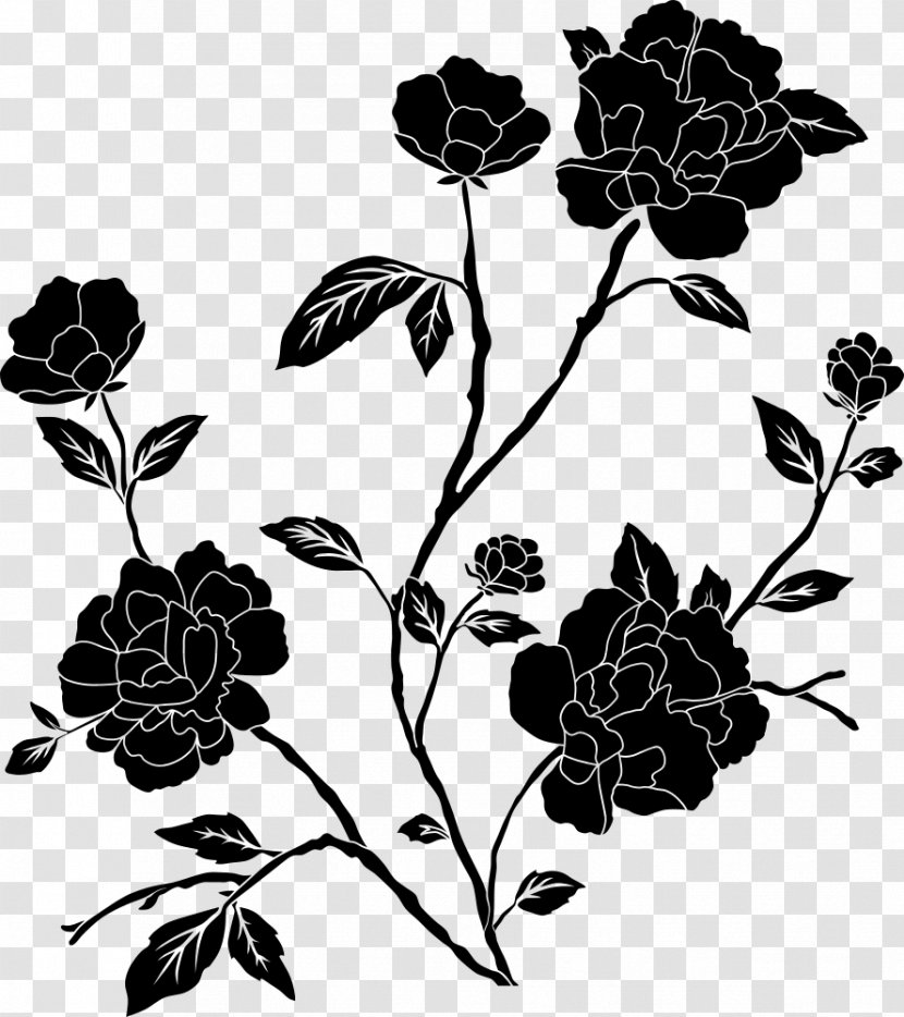 Flower Black And White Desktop Wallpaper Drawing Clip Art - Branch - Rose Vector Transparent PNG