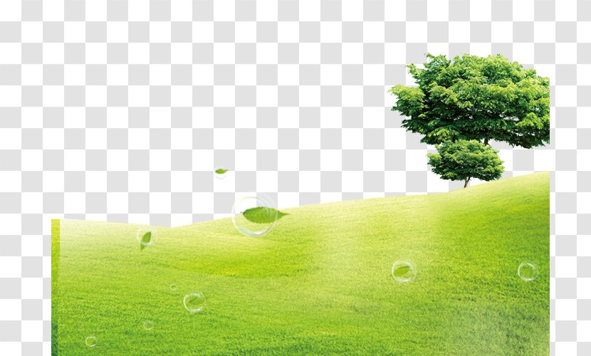 Green Lawn U5ba4u5167u7a7au6c23u6c61u67d3 Formaldehyde - Photocatalysis - Grass Background Transparent PNG