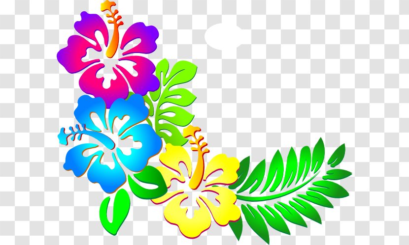 Hawaii Flower Clip Art - Artwork - Daffodil Border Cliparts Transparent PNG