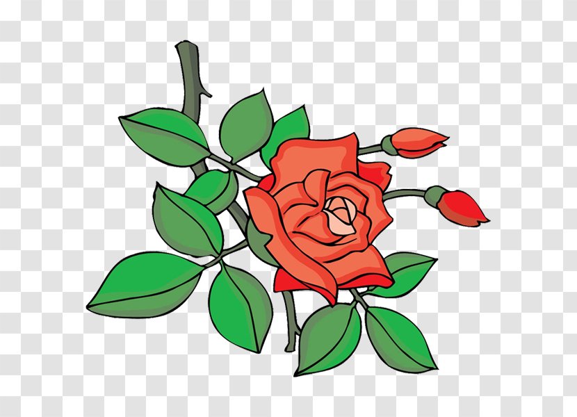 Garden Roses Cartoon Floral Design Clip Art Transparent PNG