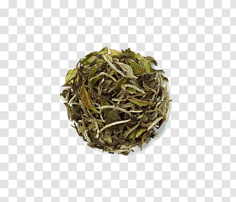 Hōjicha Nilgiri Tea Bancha Sencha - Keemun Transparent PNG