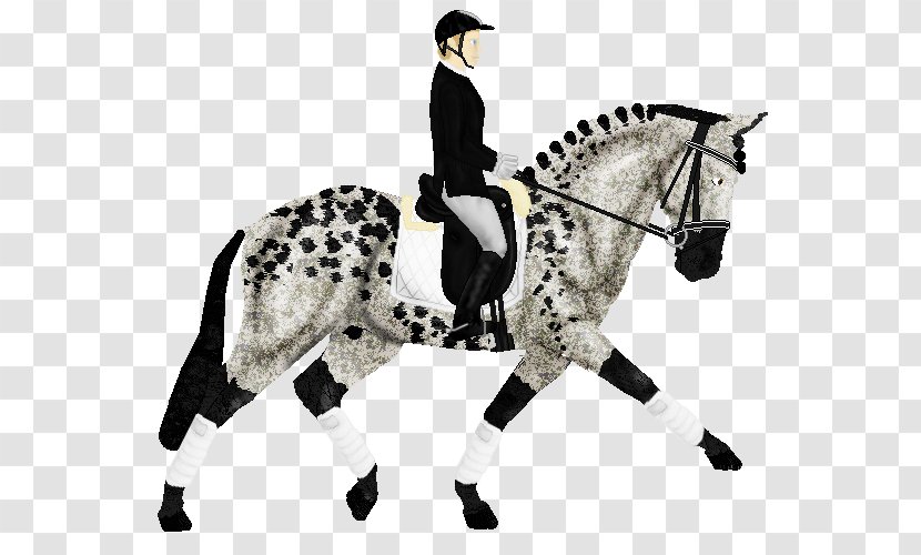Stallion English Riding Mustang Rein Equestrian - Equestrianism Transparent PNG