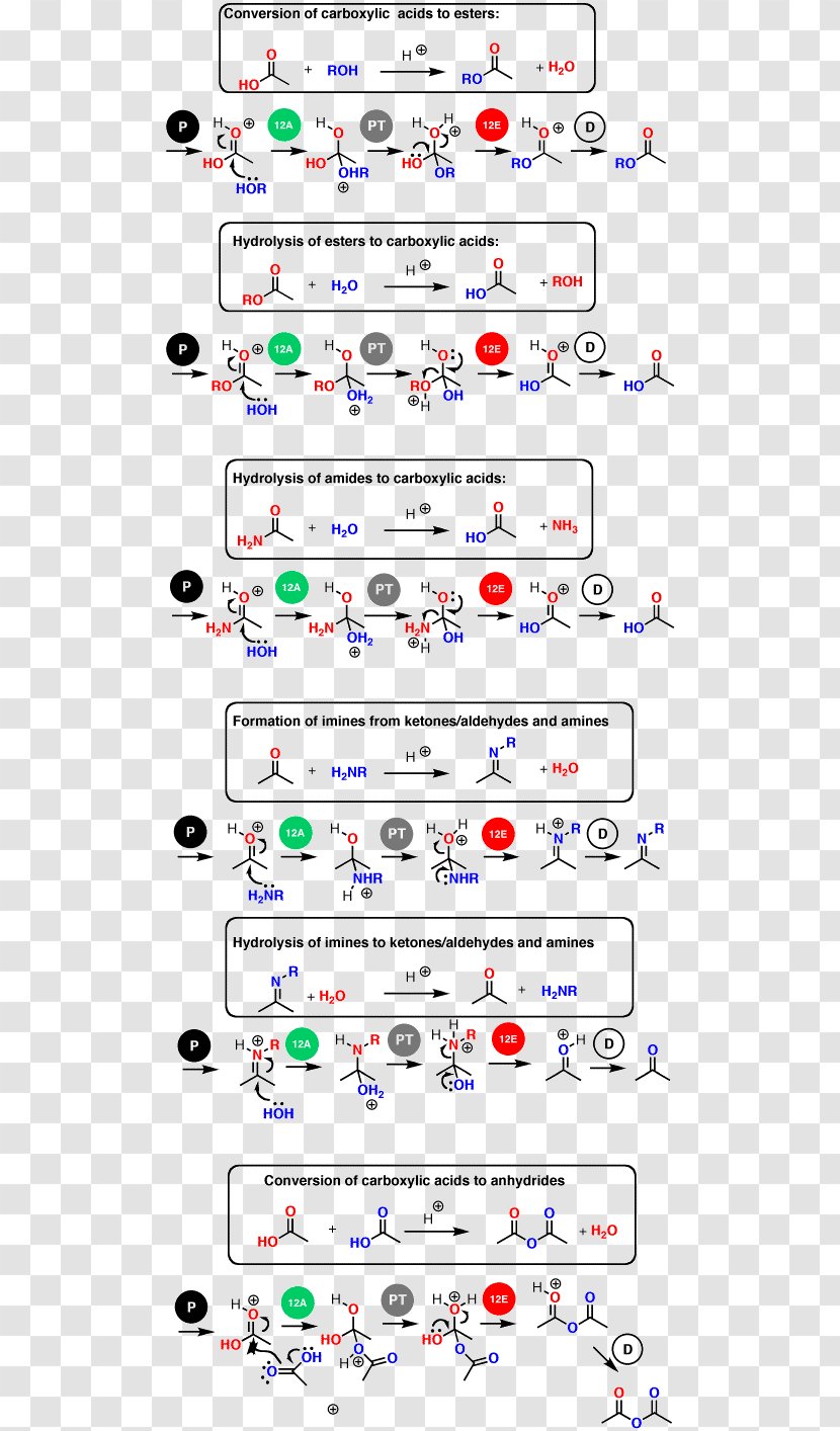 Organic Chemistry Chemical Reaction Carboxylic Acid - Base - Fixed Price Transparent PNG