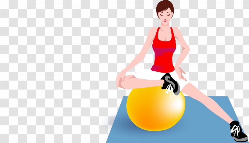 Weight Loss U51cfu80a5 Dieting - Silhouette - Sit On A Fitness Ball Vector Beauty Transparent PNG