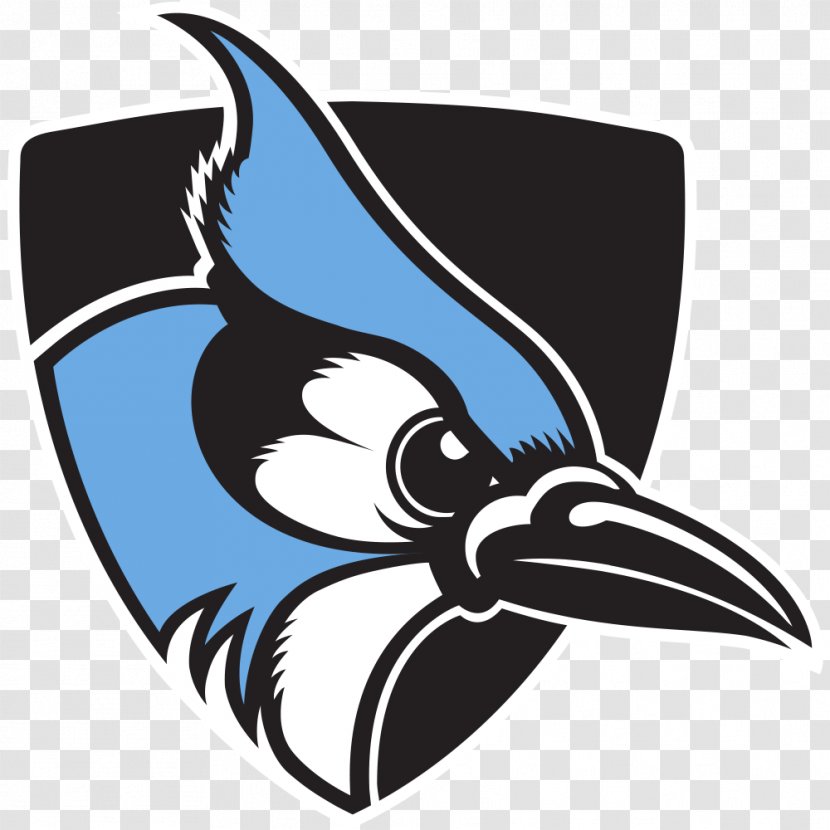 Johns Hopkins University Blue Jays Men's Lacrosse Football Women's Basketball Toronto - Jay Lethal Transparent PNG