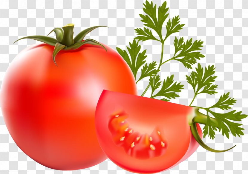 Tomato Vegetable Parsley Food - Fruit Transparent PNG