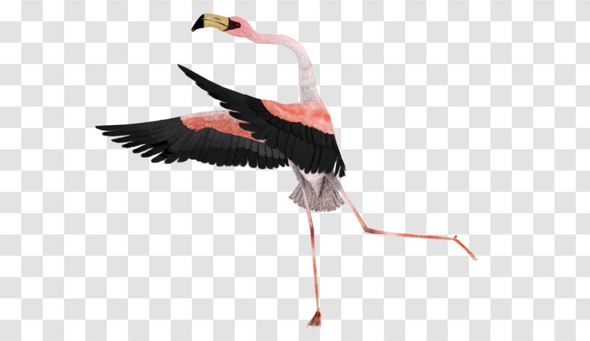 Image White Stork Surrealism Art - Rendering - Flamingo Animal Transparent PNG