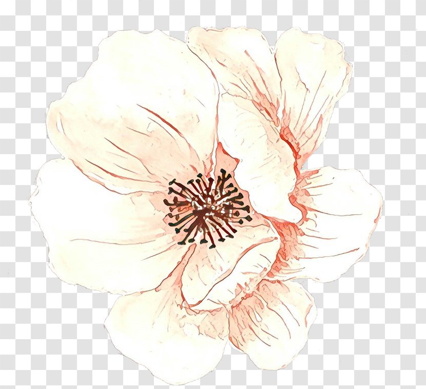 Flower Art Watercolor - Blossom - Magnolia Hibiscus Transparent PNG