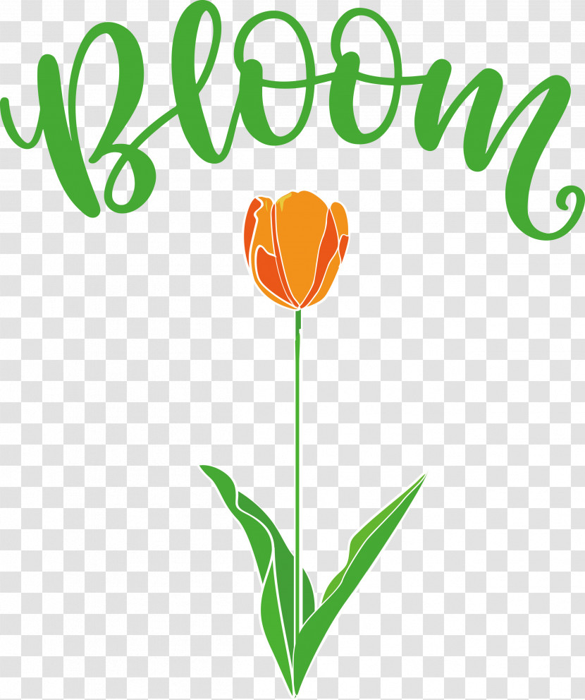 Bloom Spring Flower Transparent PNG