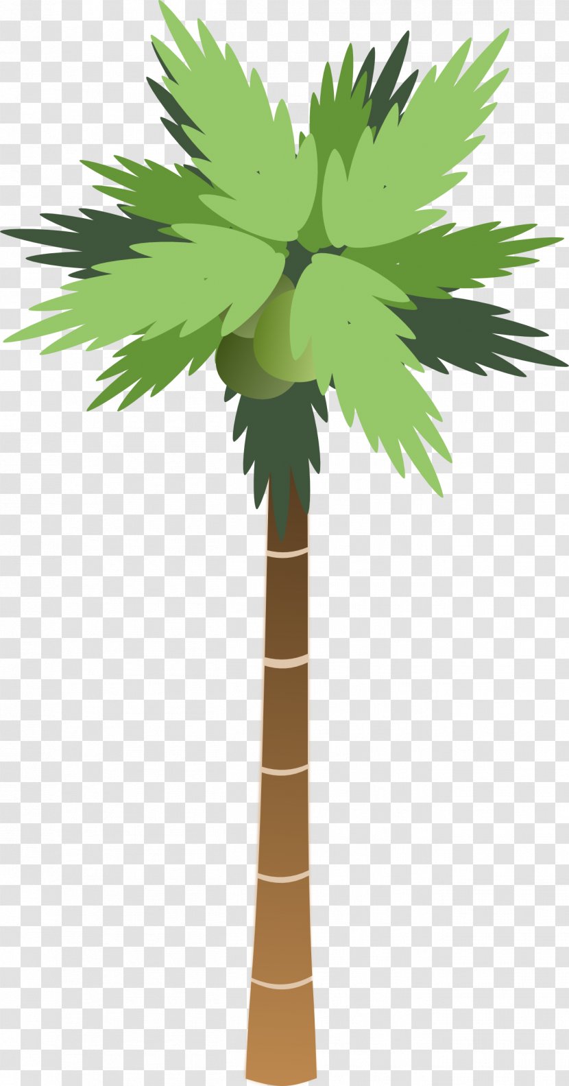 Arecaceae Coconut Tree Clip Art - Flowerpot - Images Of Cartoon Palm Trees Transparent PNG