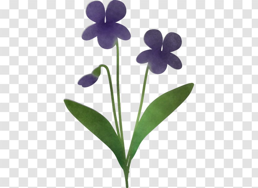 Plant Stem Viola Plants Science Biology Transparent PNG