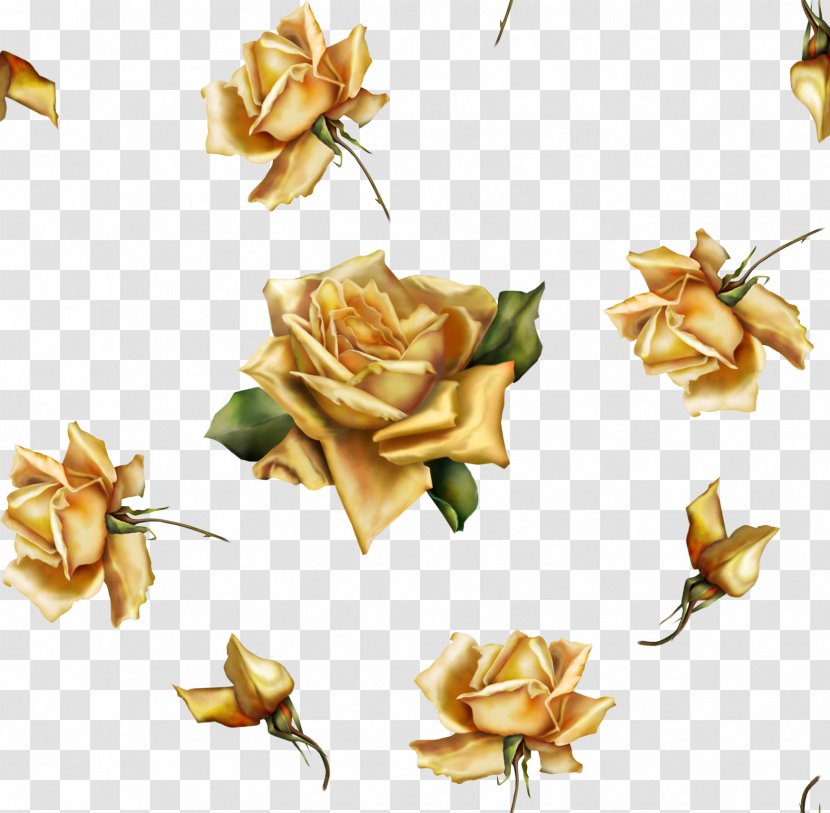 Flower Beach Rose Gold - K Transparent PNG