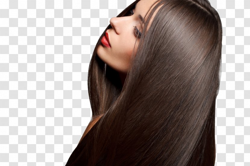 Hair Coloring Beauty Parlour Hairstyle Care - Tree - Hairdressing Transparent PNG