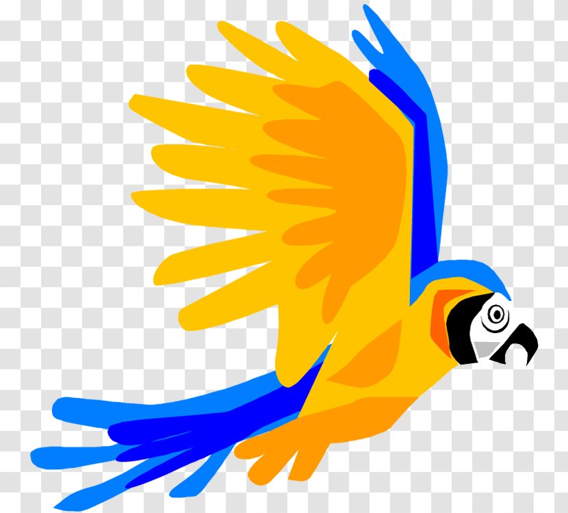 Parrot Bird Flight Macaw Clip Art - Parakeet - Cartoon Pictures Of Parrots Transparent PNG