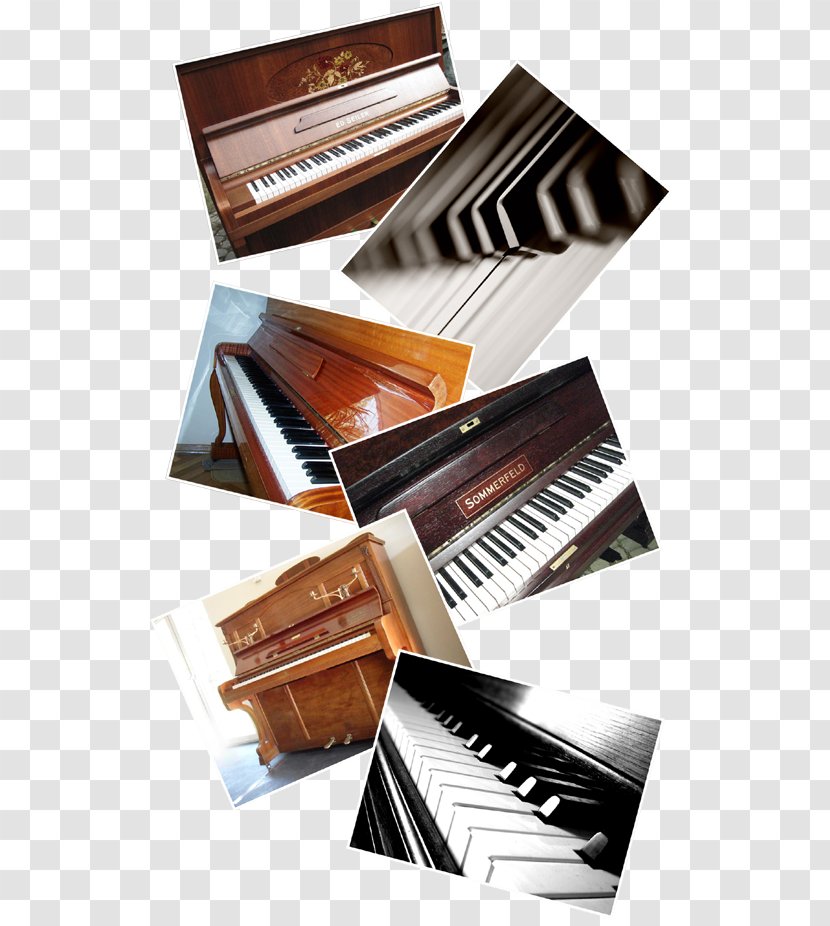 Fortepiano Player Piano Musical Keyboard Digital - Celesta Transparent PNG