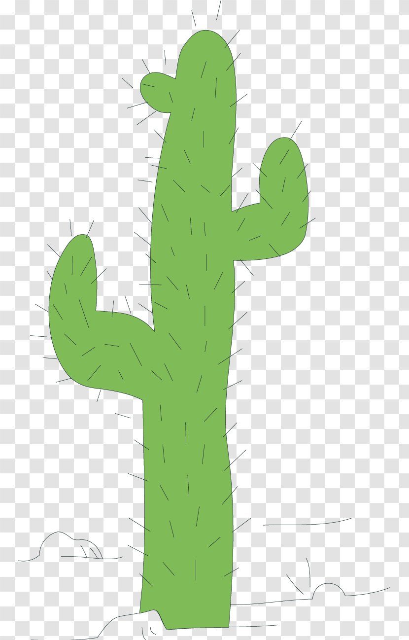 Cactaceae Clip Art - Stock Photography - Cactus Vector Transparent PNG