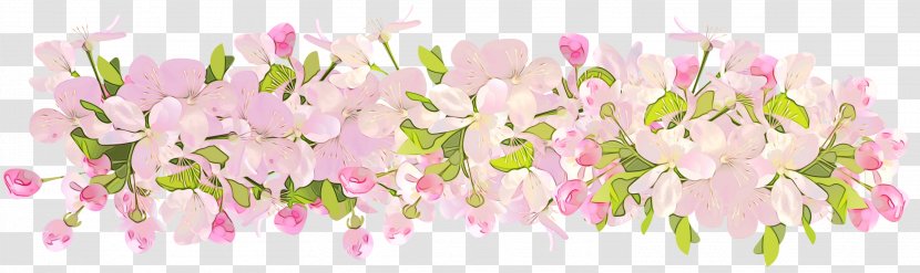 Sweet Pea Flower - Plant - Wildflower Bougainvillea Transparent PNG