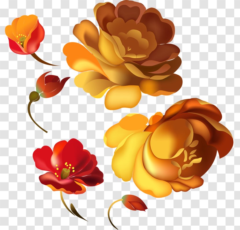 Floral Design Flower Clip Art - Rose Family - Rosaceae Transparent PNG