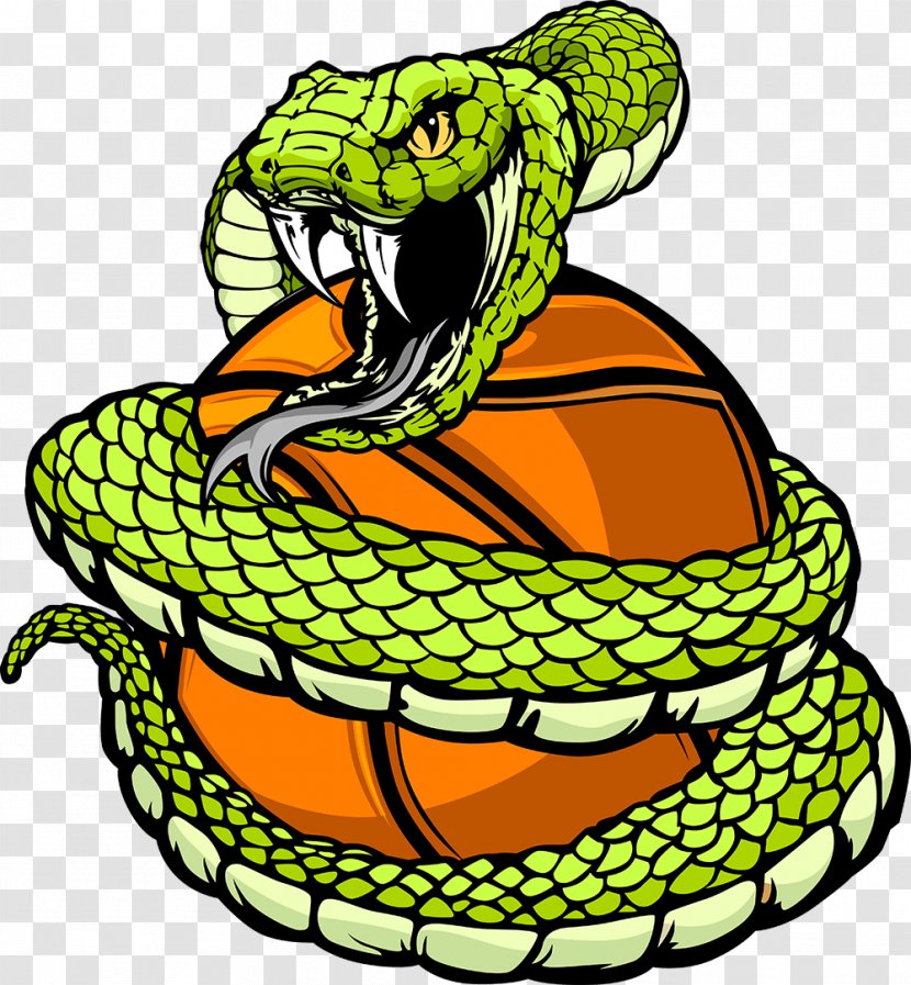 Clip Art Vipers Reptile Snakes Openclipart - Sports - Clipart Snake Transparent PNG