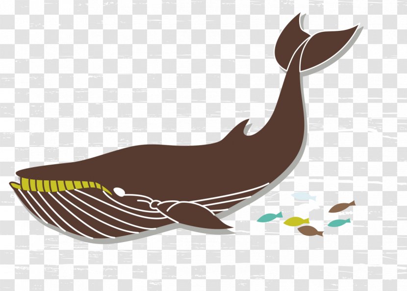 Euclidean Vector Drawing Whale Transparent PNG